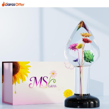 Artisan Inlaid Anal Plug 6-Color Brazilian In Pakistan 