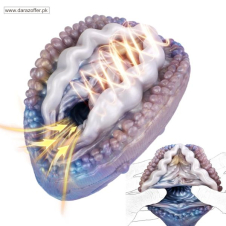  Heated Monster Pussy Fantasy Stroker In Pakistan